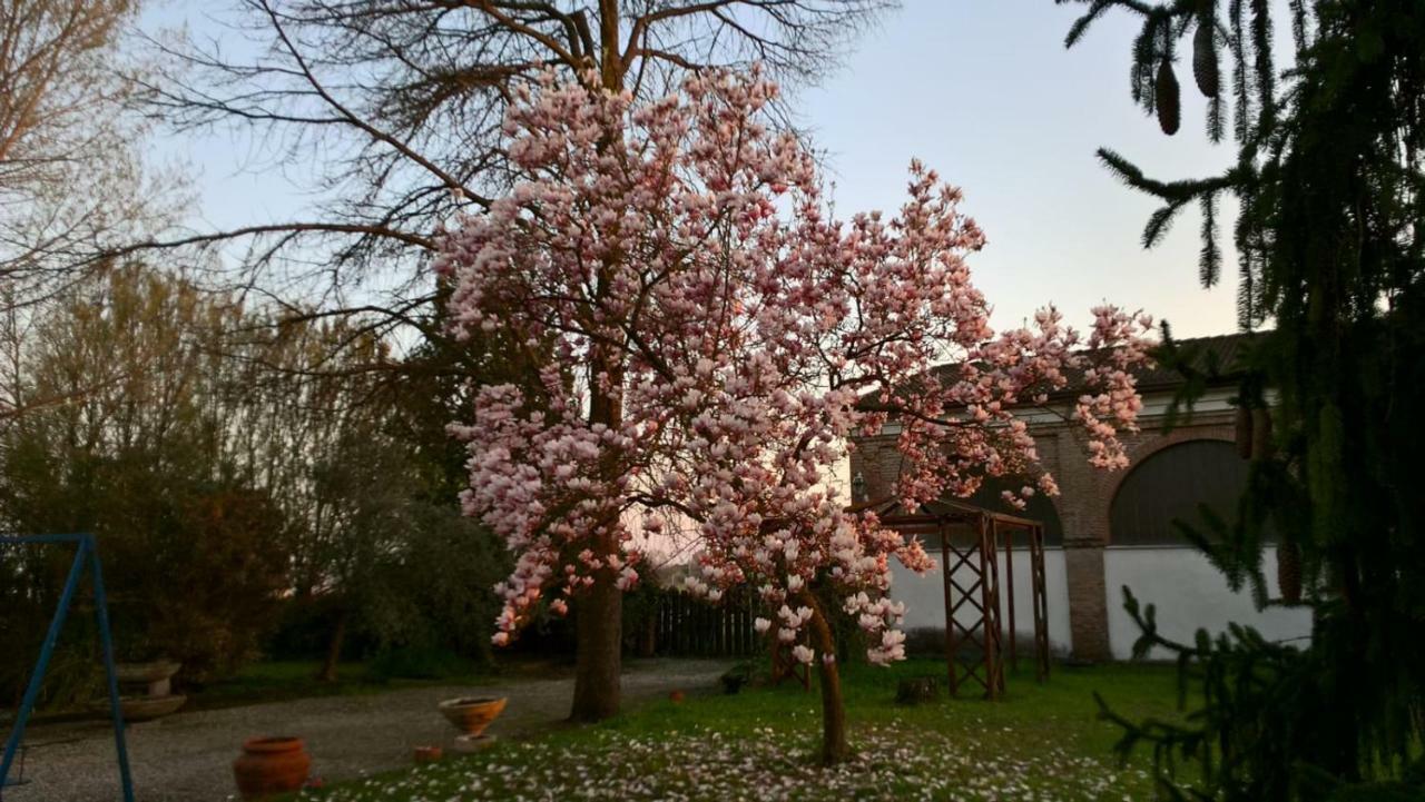 Agriturismo Cipolli E Podo Corte Carlini Мантуя Экстерьер фото